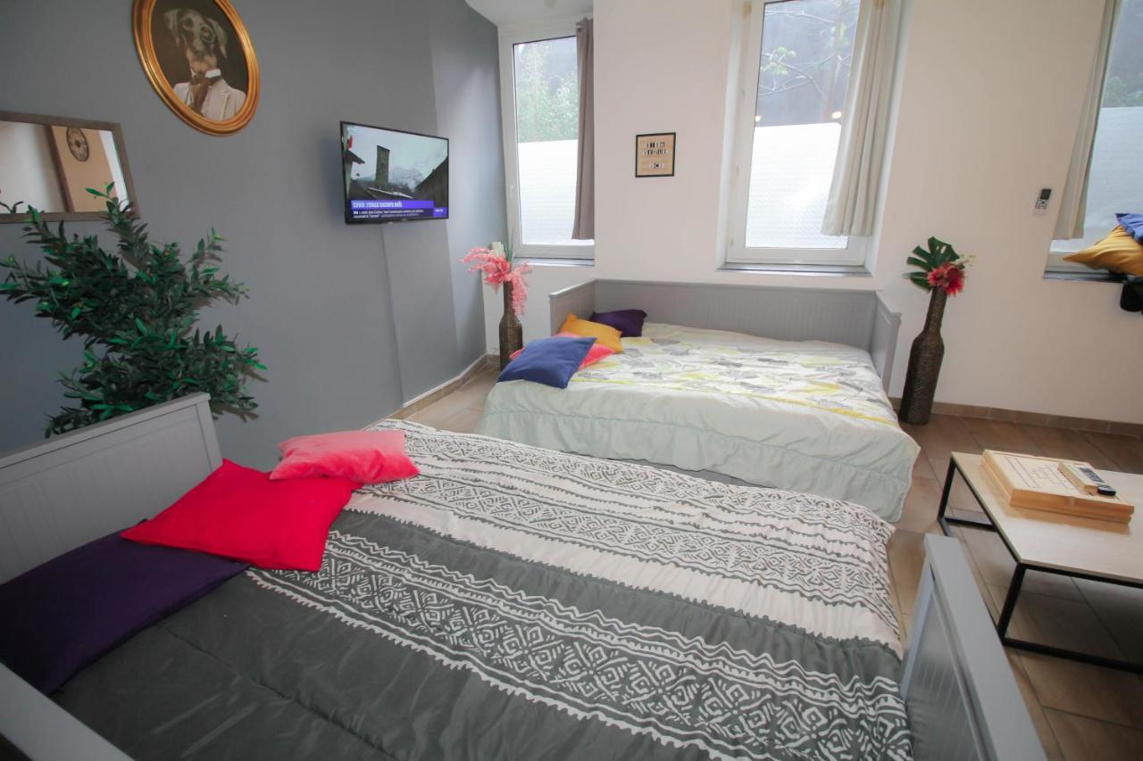 Calme En Centre Ville Appartement , Spacieux Et Renove A 50M De La Place Carnot 卡尔卡松 外观 照片